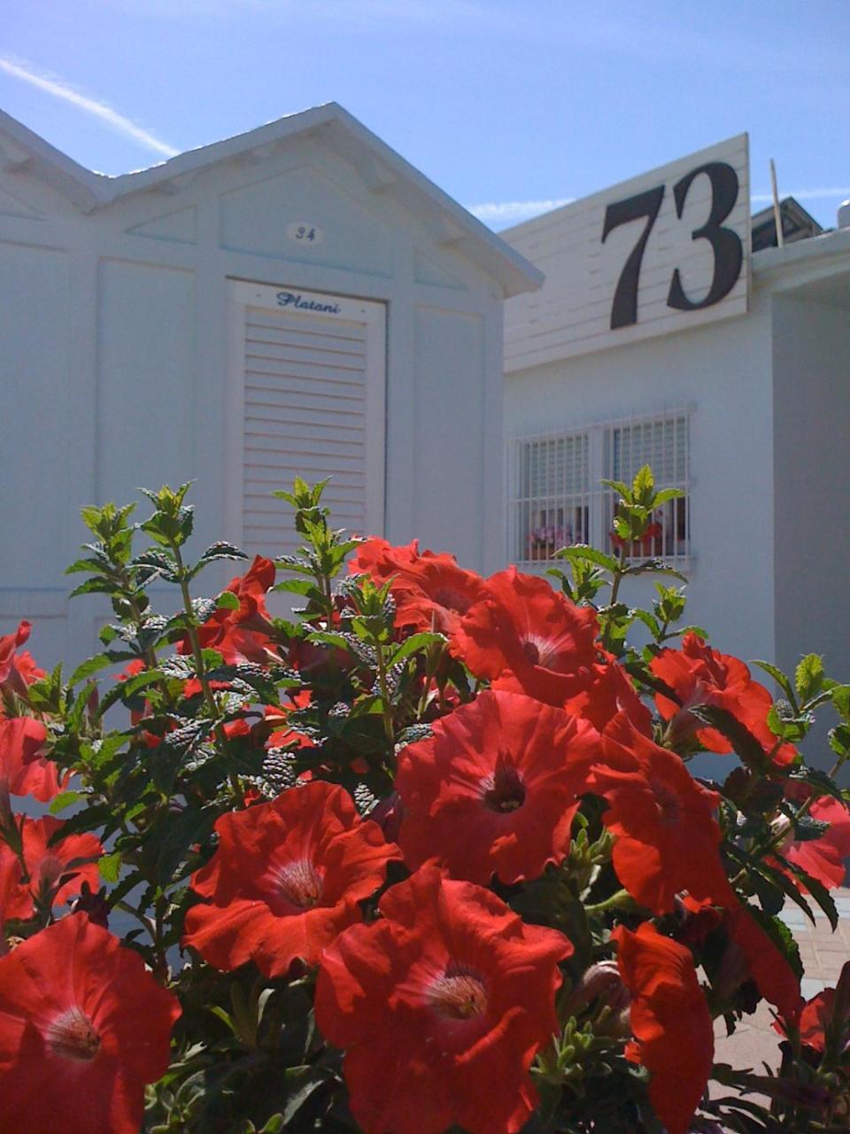 Hotel Villa Platani Riccione Luaran gambar